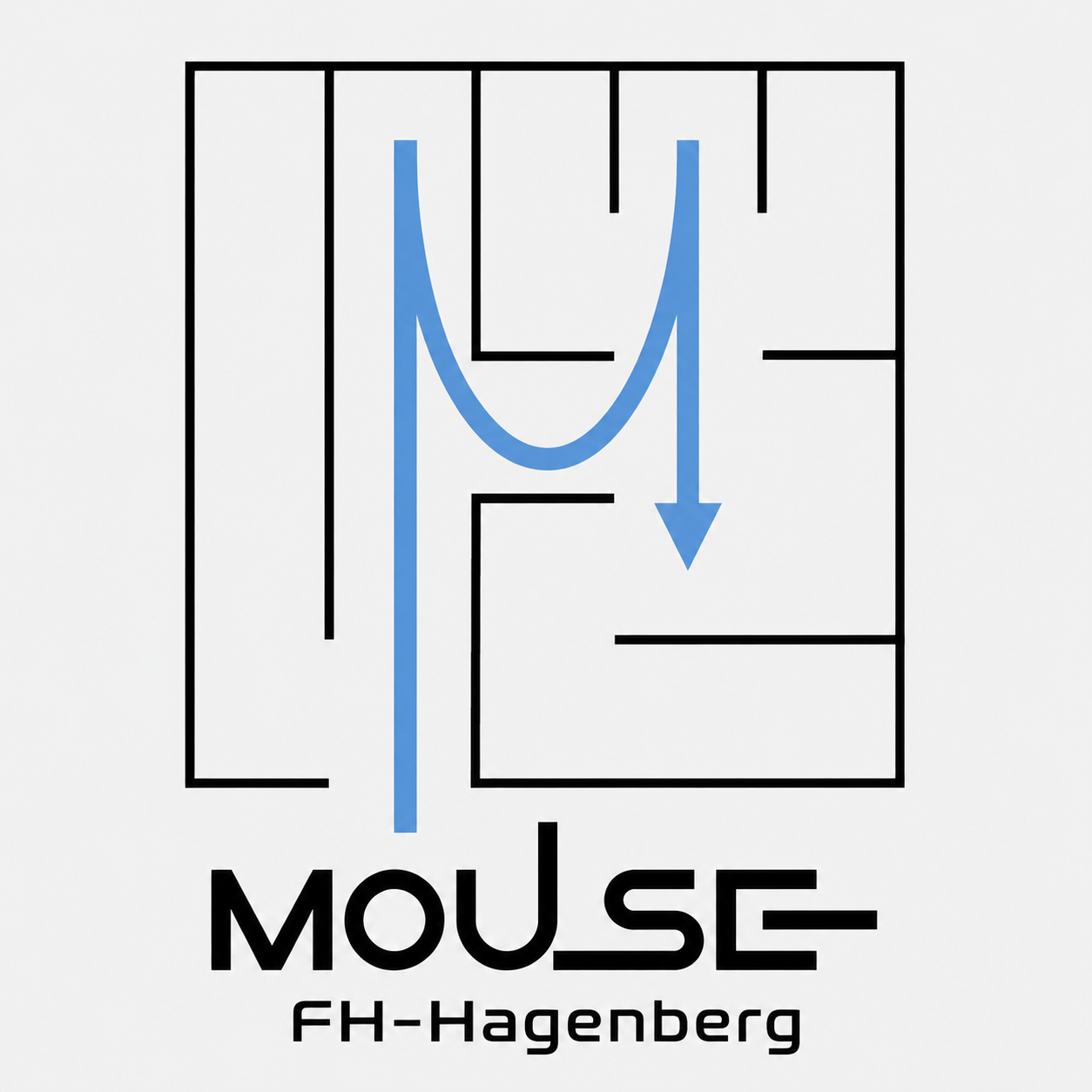FH Hagenberg Logo